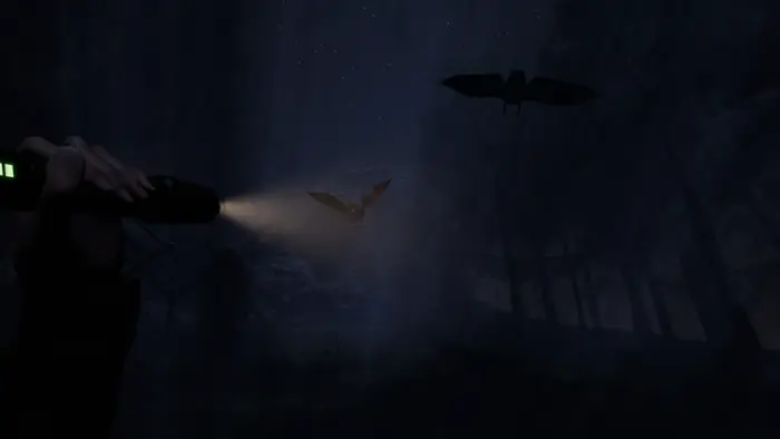Bats in the dark forest