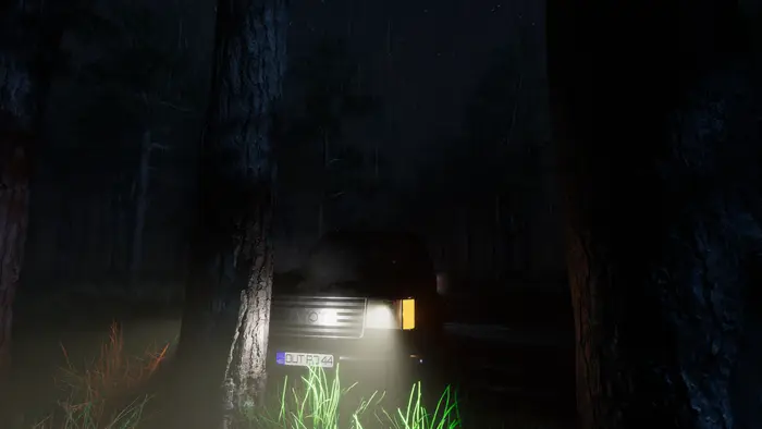 The crashed car in the forest